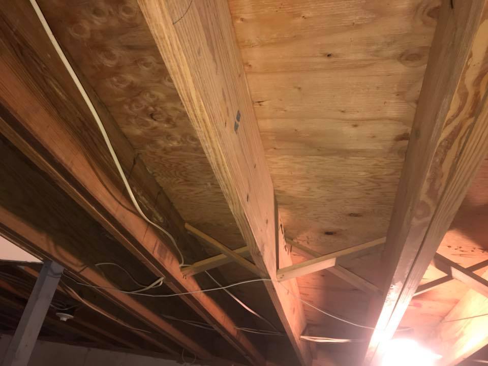 Clean framing after All in 1 Mold remediation