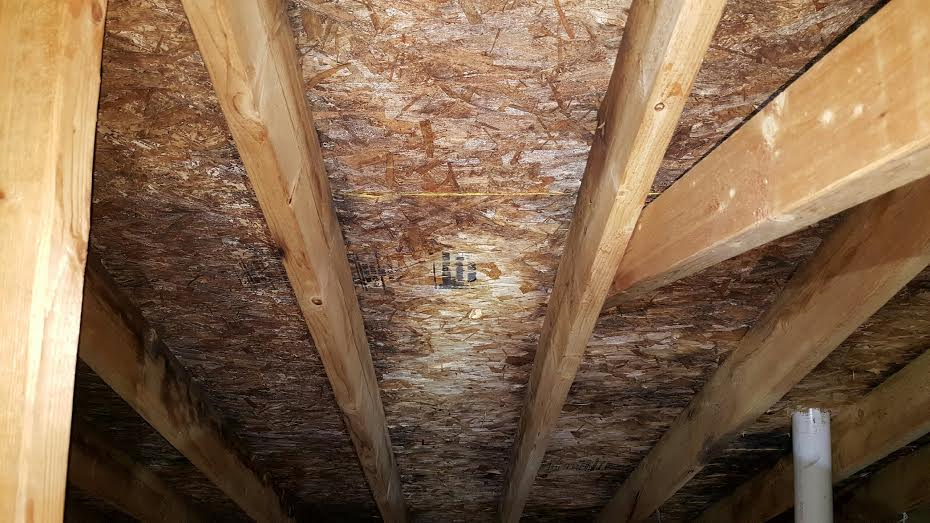 Attic and structure remediation work