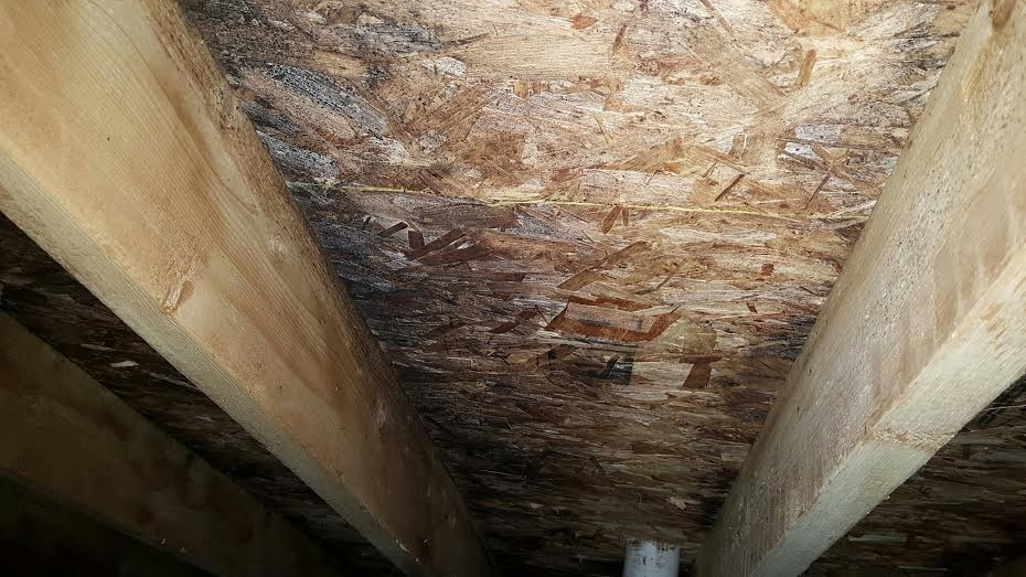 Mold remediation in progress