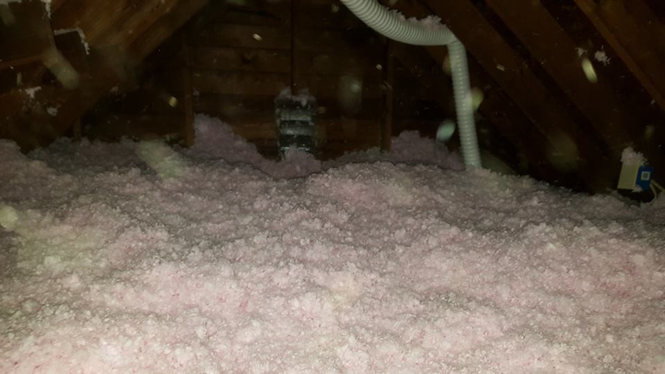 Insulation and attic remediation work