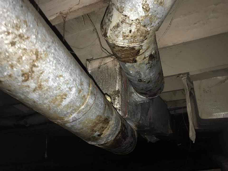 Mold inspection in a crawlspace